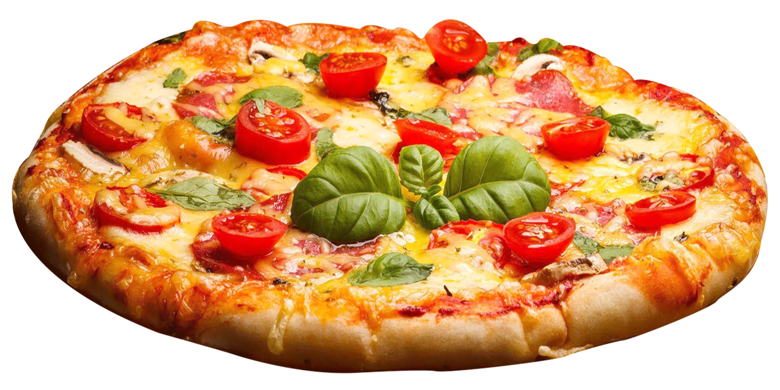 PREMIUM VEGAN